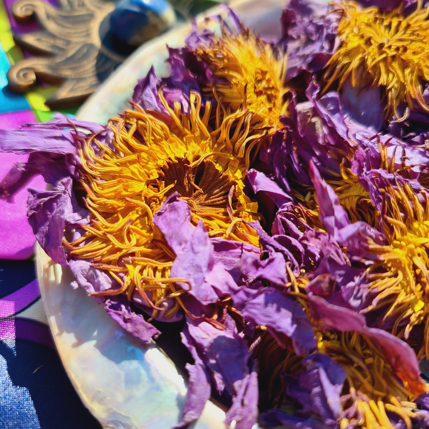 Organic Whole Blue Lotus Flowers