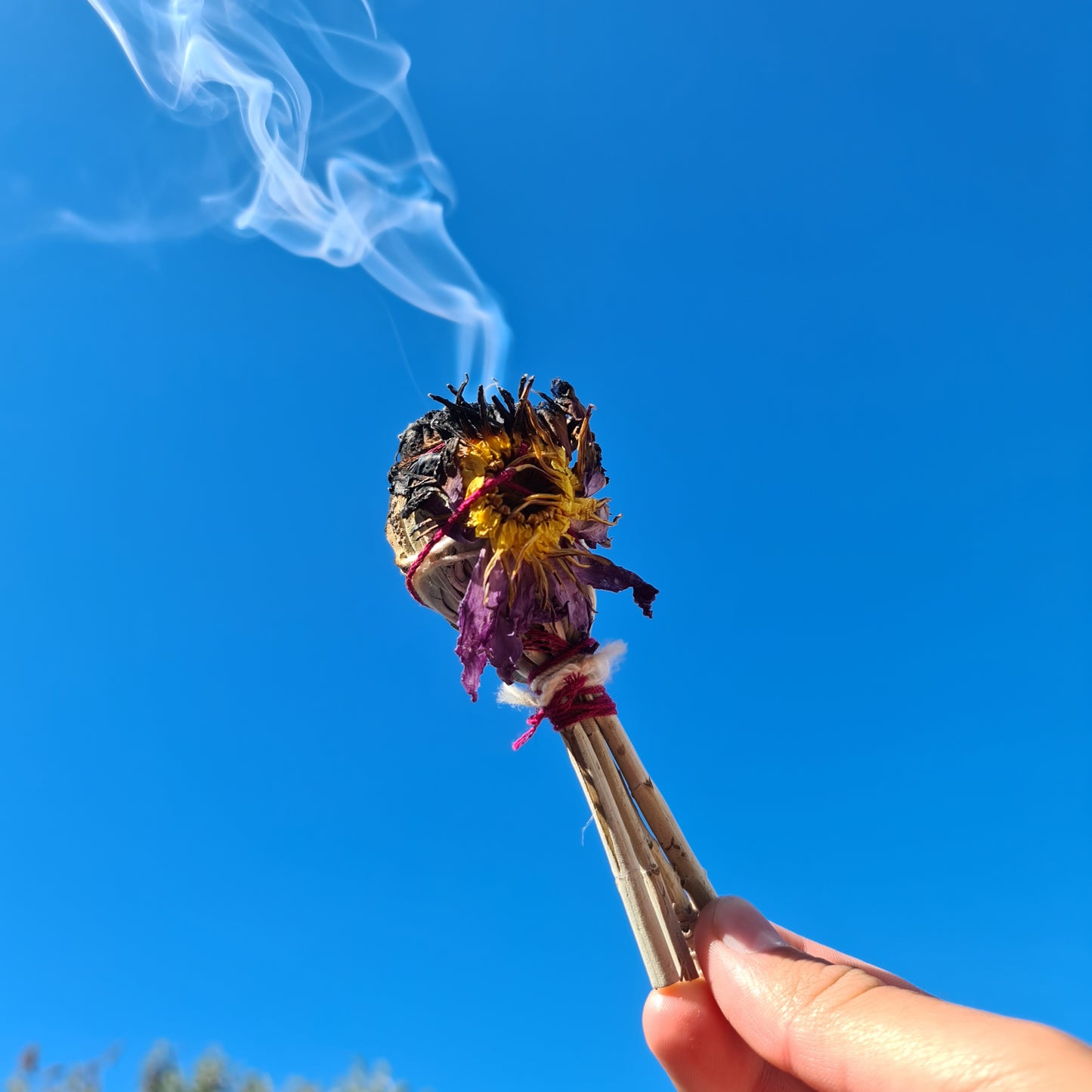 4" White Sage Smudge Stick with Blue Lotus Flowers