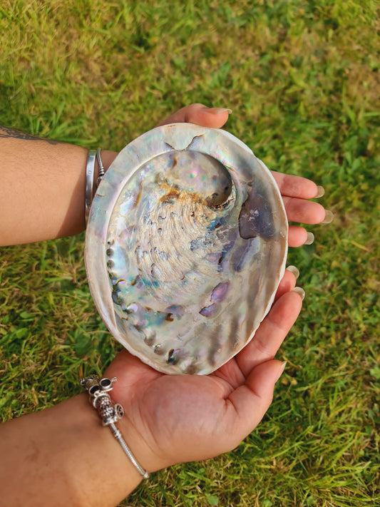 Large Abalone Shell ~6"(15cm) Ceremonial Ashtray