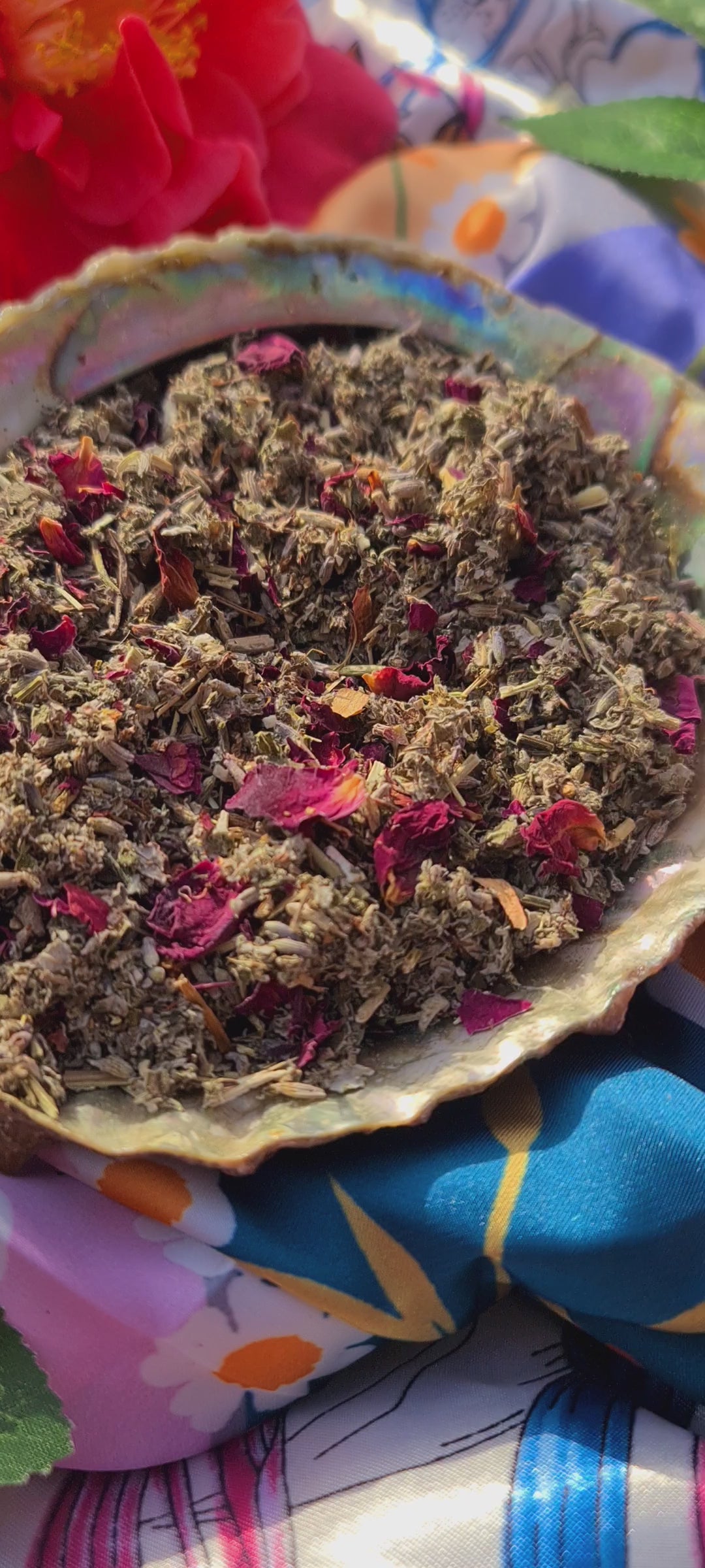 A captivating video of The Dreamy Blend in an iridescent abalone shell, featuring a mixture of green raspberry leaf and mugwort, beautifully accented with specks of rose petals and lavender. Liam is sprinkling the blend into the Abalone Shell.